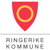 Ringerike kommunes støtteordninger